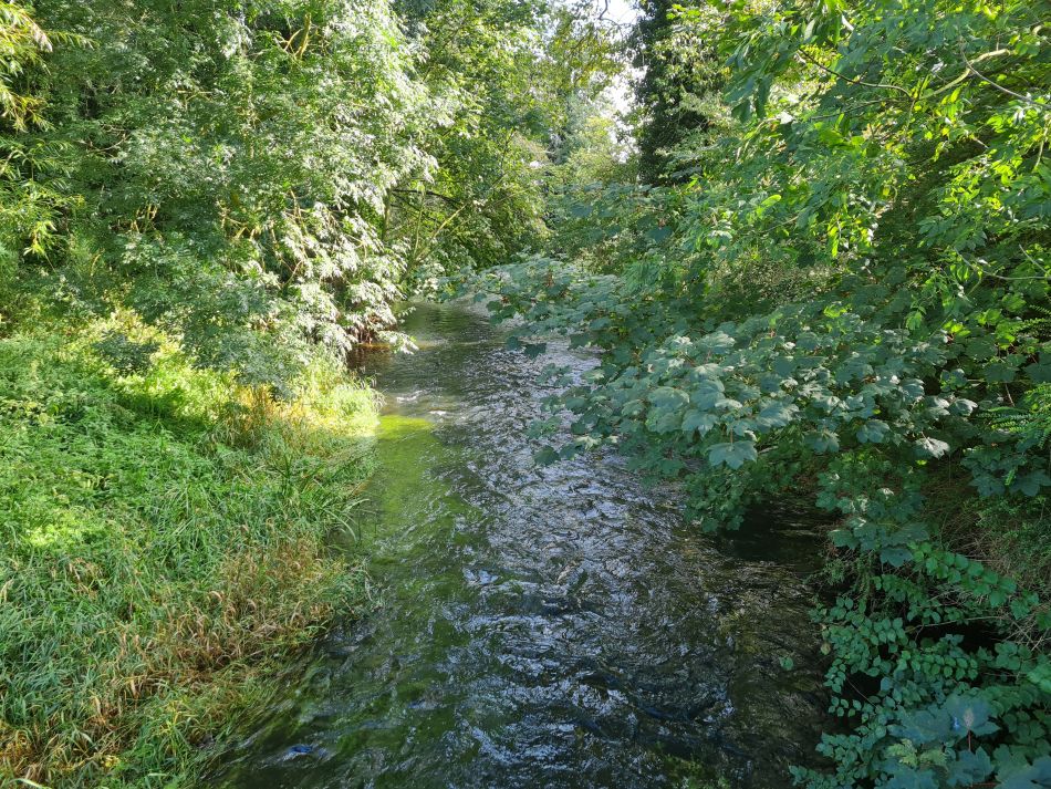 2021-10-07 19 Weybread and Harleston.jpg