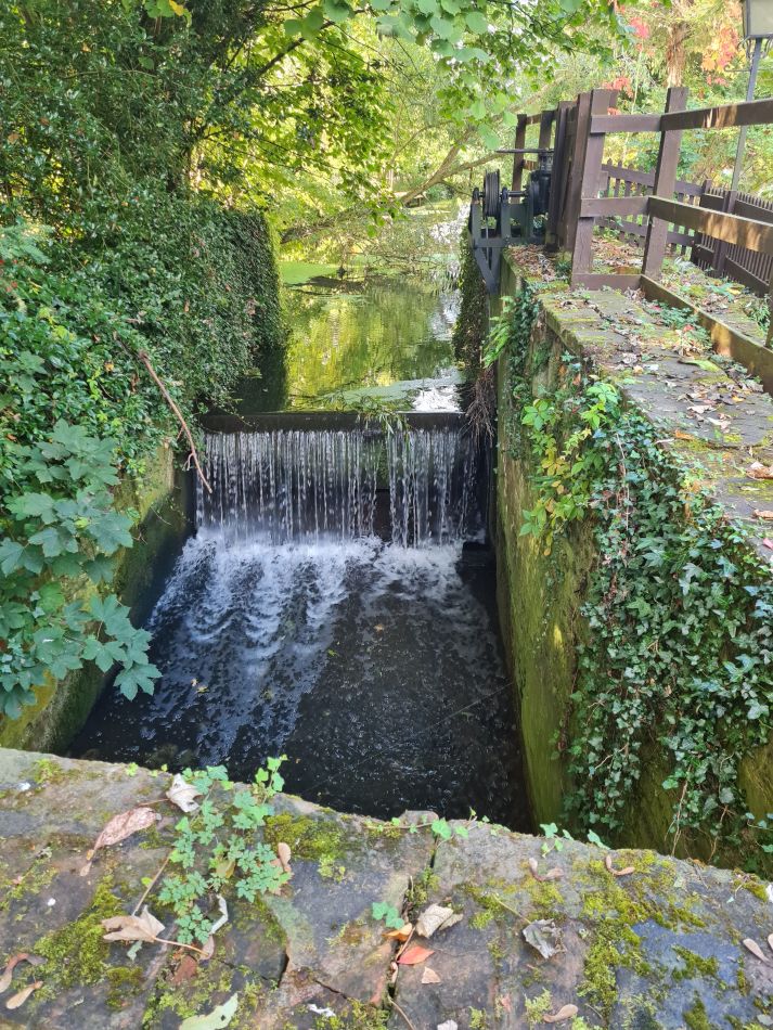 2021-10-07 20 Weybread and Harleston.jpg