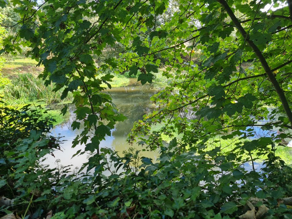 2021-10-07 21 Weybread and Harleston.jpg