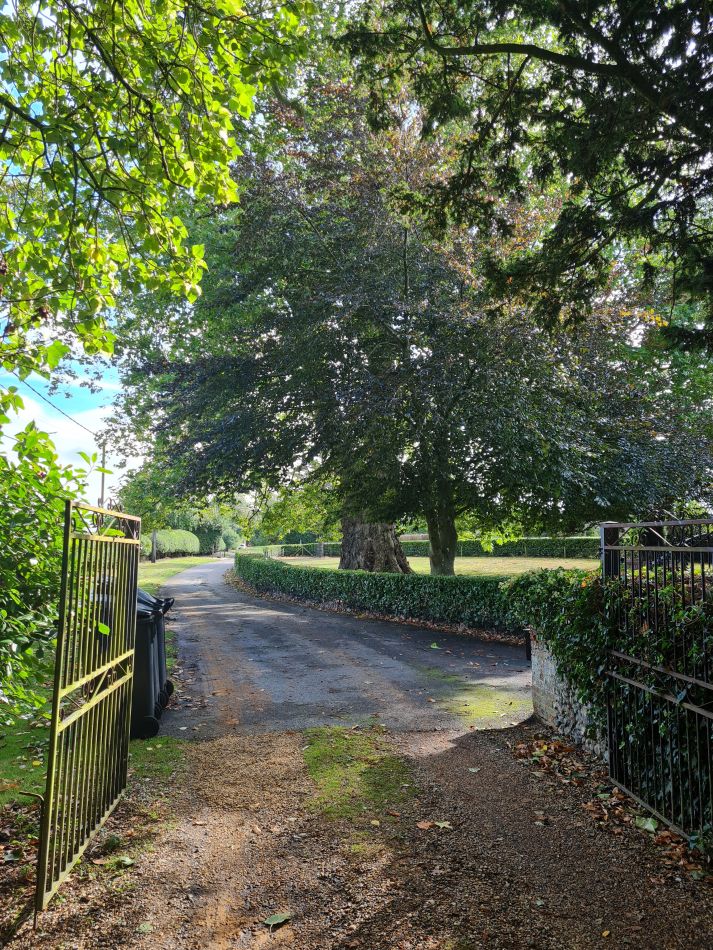 2021-10-07 22 Weybread and Harleston.jpg