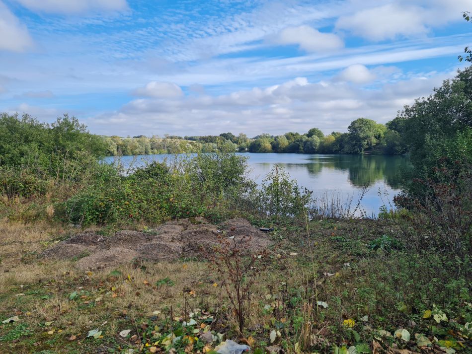 2021-10-07 23 Weybread and Harleston.jpg