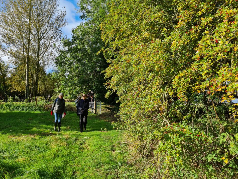 2021-10-21 04 Harleston and Mendham.jpg