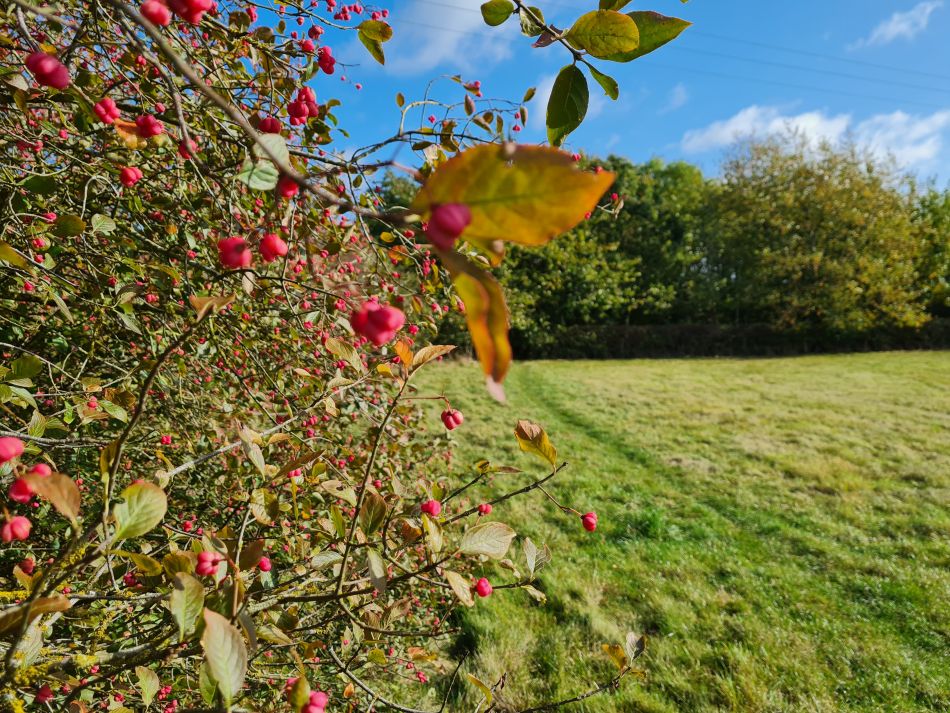 2021-10-21 09 Harleston and Mendham.jpg