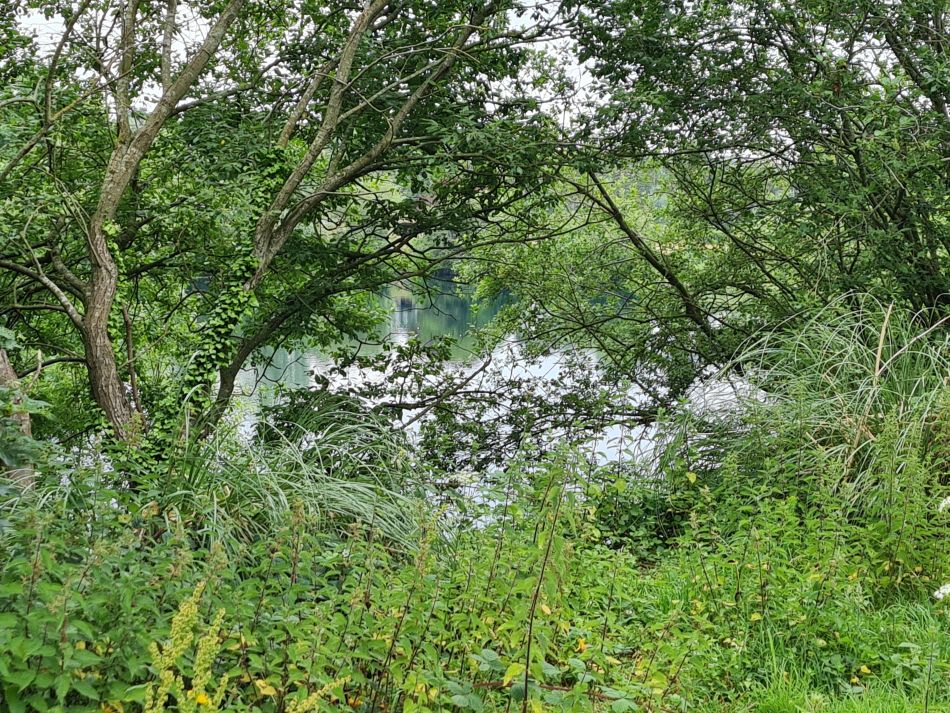 2022-06-23 01 Angles Way 14 - Harleston and Mendham.jpg