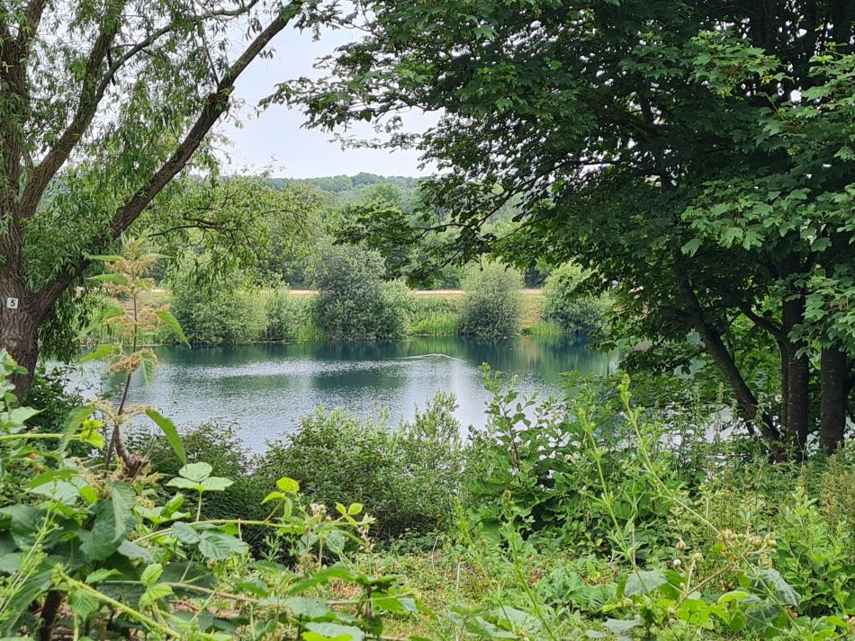 2022-06-23 03 Angles Way 14 - Harleston and Mendham.jpg