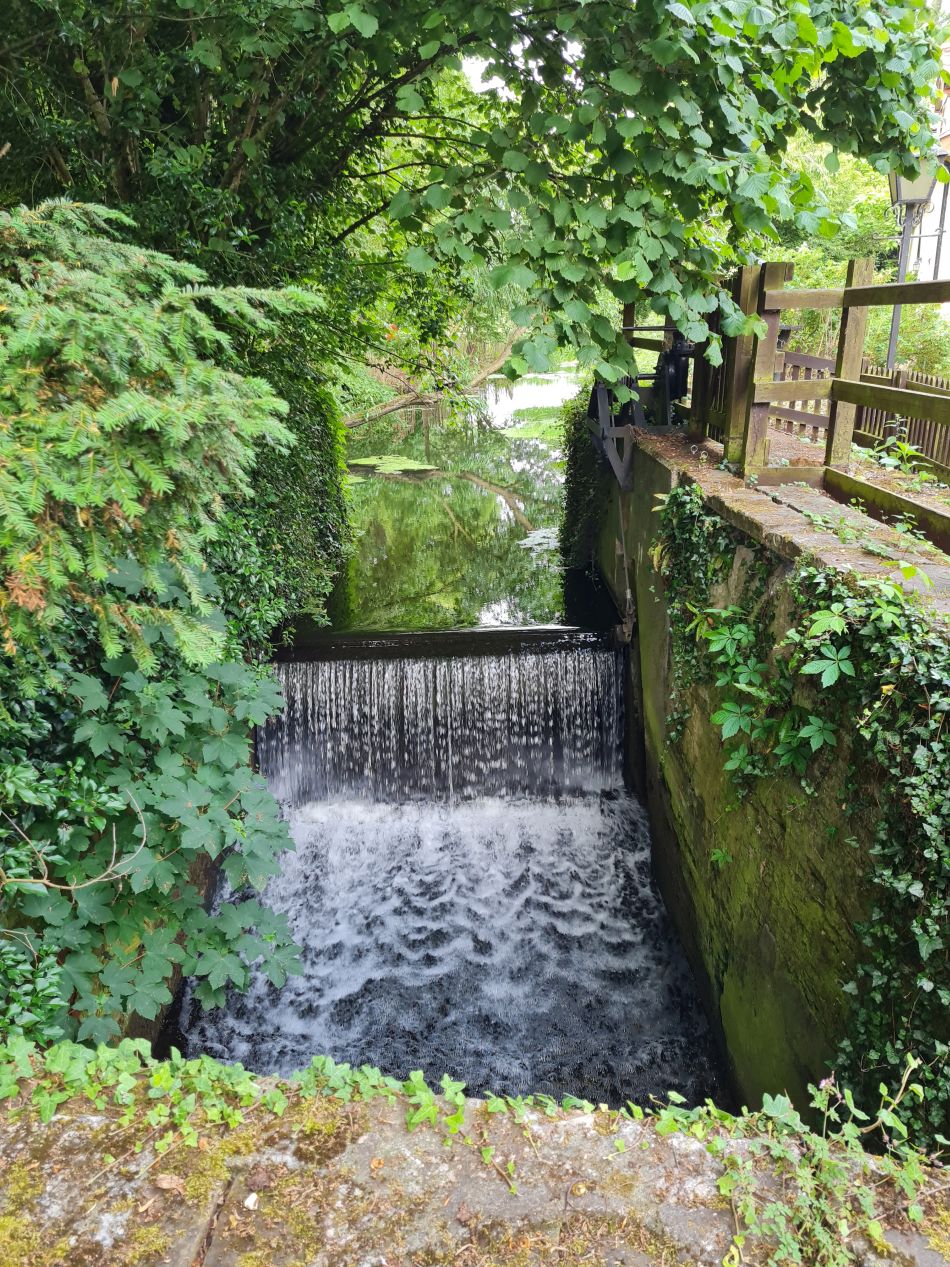 2022-06-23 05 Angles Way 14 - Harleston and Mendham.jpg