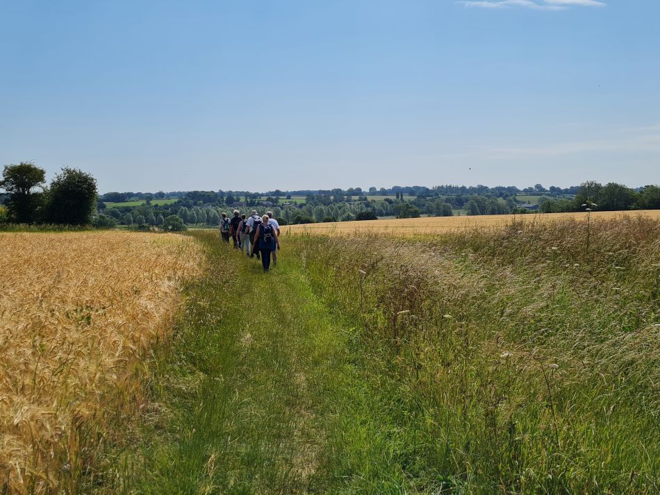 2022-06-23 08 Angles Way 14 - Harleston and Mendham.jpg