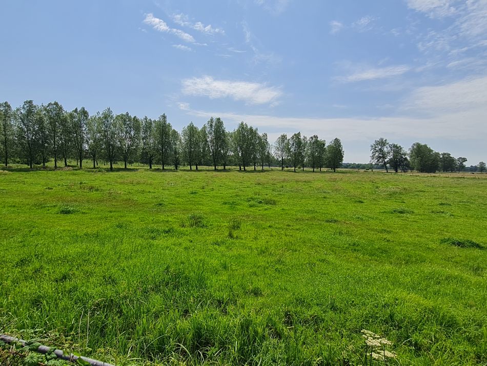 2022-06-23 12 Angles Way 14 - Harleston and Mendham.jpg