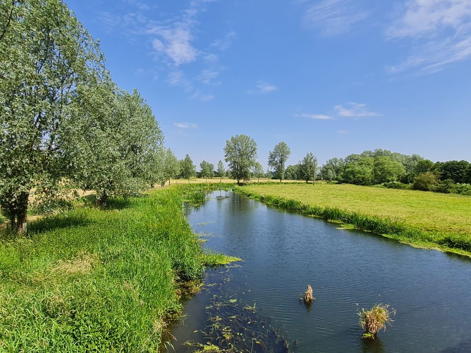 2022-06-23 15 Angles Way 14 - Harleston and Mendham.jpg