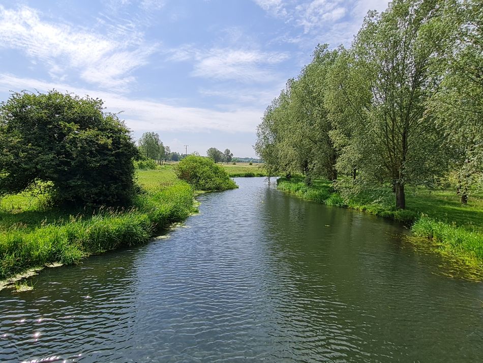 2022-06-23 17 Angles Way 14 - Harleston and Mendham.jpg