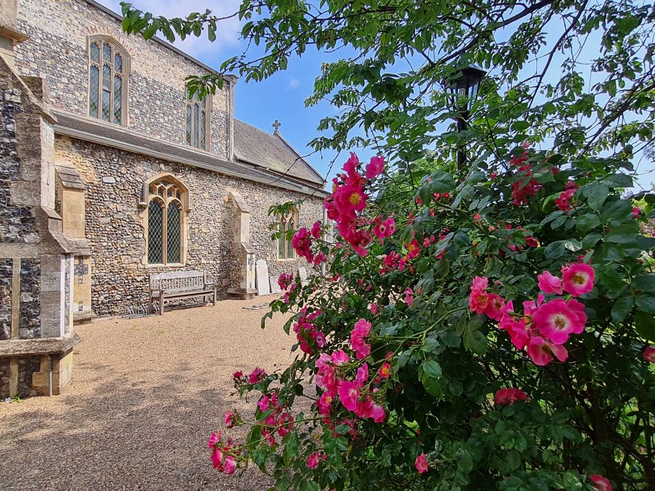 2022-06-23 20 Angles Way 14 - Harleston and Mendham.jpg