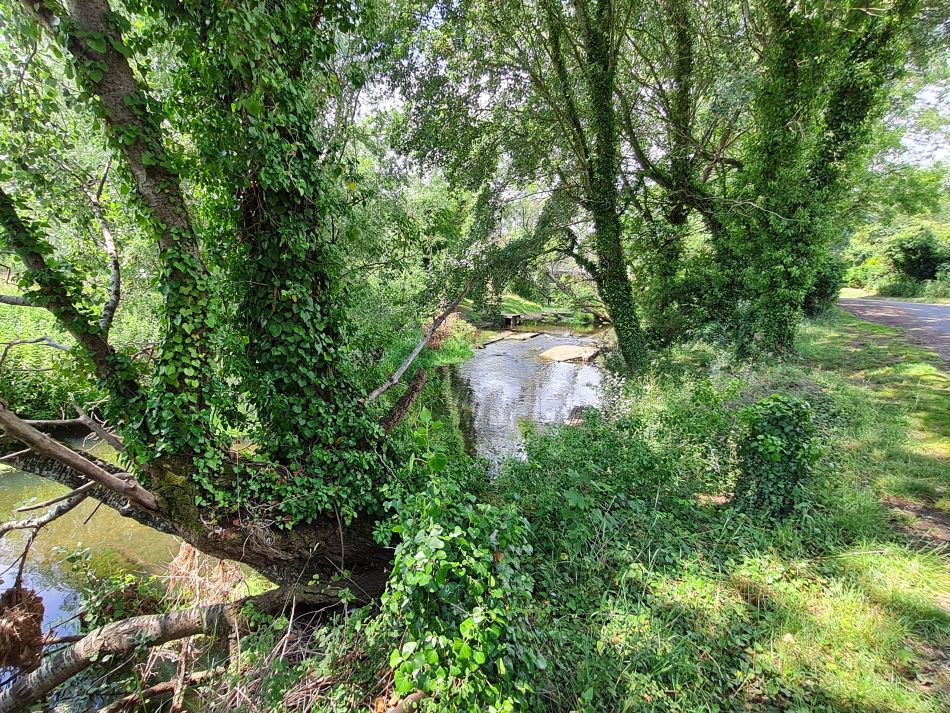 2022-06-23 38 Angles Way 14 - Harleston and Mendham.jpg