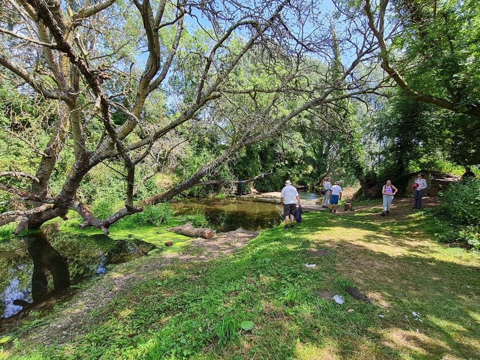 2022-06-23 39 Angles Way 14 - Harleston and Mendham.jpg