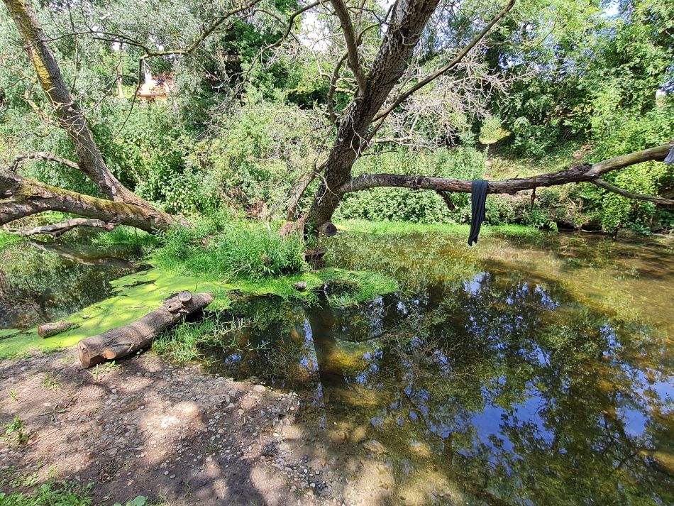 2022-06-23 40 Angles Way 14 - Harleston and Mendham.jpg