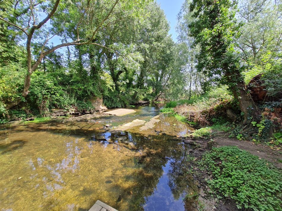 2022-06-23 41 Angles Way 14 - Harleston and Mendham.jpg