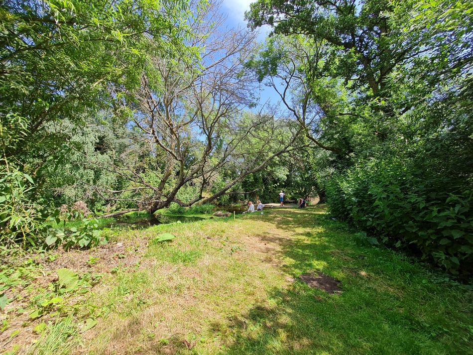 2022-06-23 42 Angles Way 14 - Harleston and Mendham.jpg