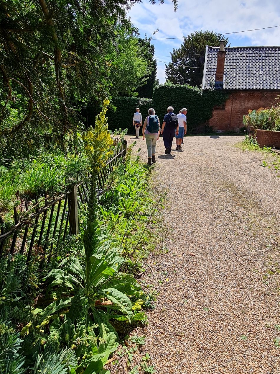 2022-06-23 44 Angles Way 14 - Harleston and Mendham.jpg