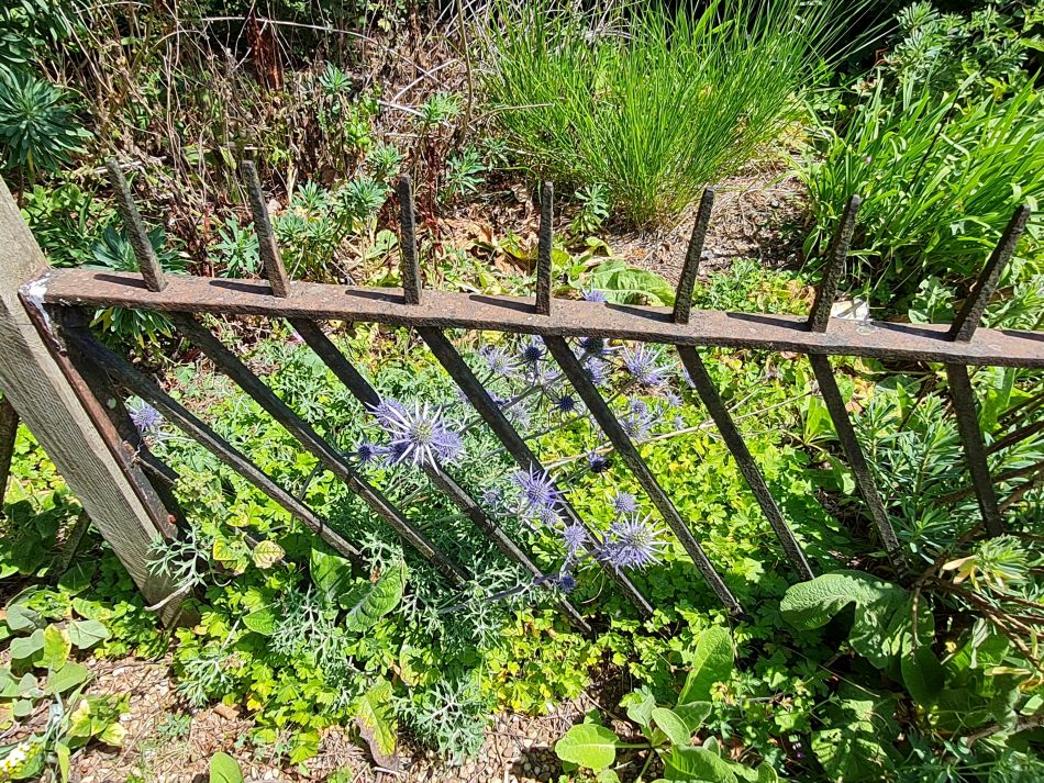 2022-06-23 45 Angles Way 14 - Harleston and Mendham.jpg