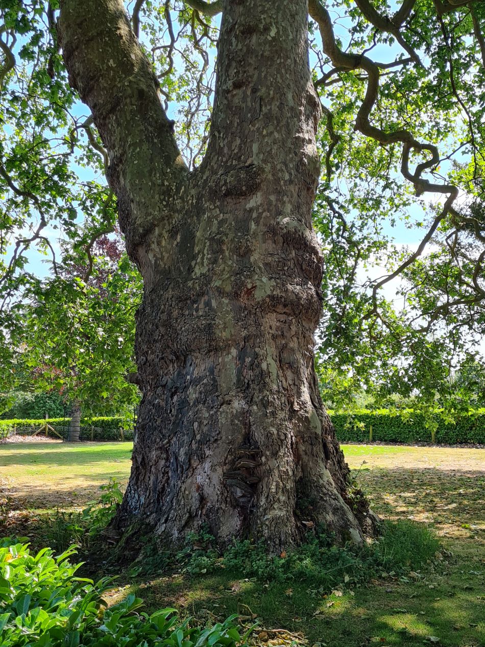 2022-06-23 46 Angles Way 14 - Harleston and Mendham.jpg