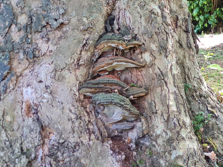 2022-06-23 47 Angles Way 14 - Harleston and Mendham.jpg