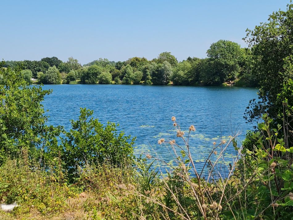 2022-06-23 48 Angles Way 14 - Harleston and Mendham.jpg