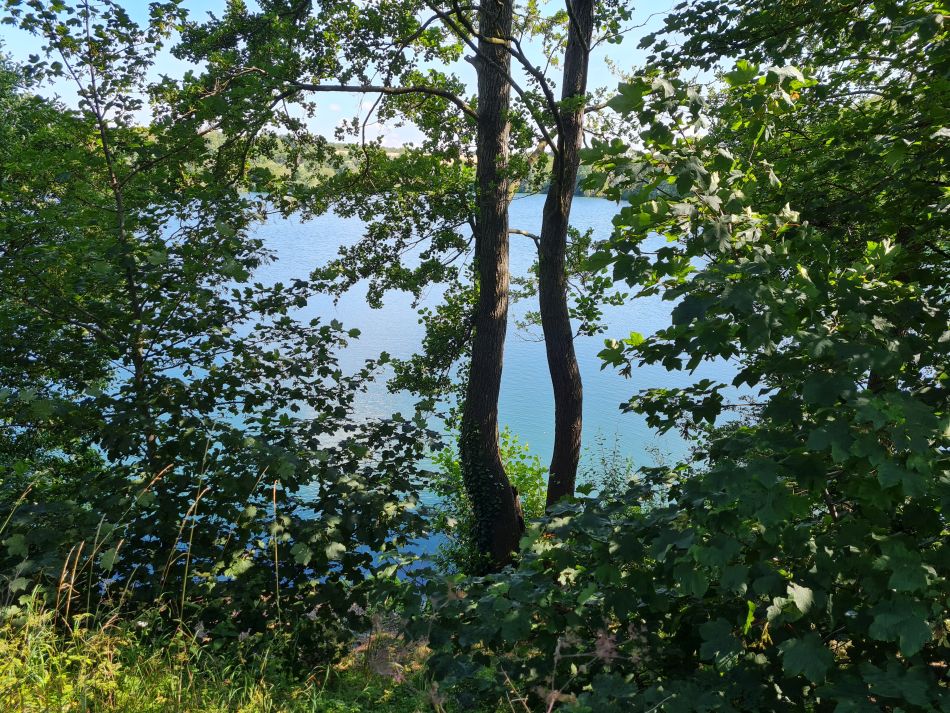 2023-07-26 01 Weybread.jpg