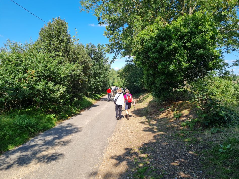 2023-07-26 02 Weybread.jpg