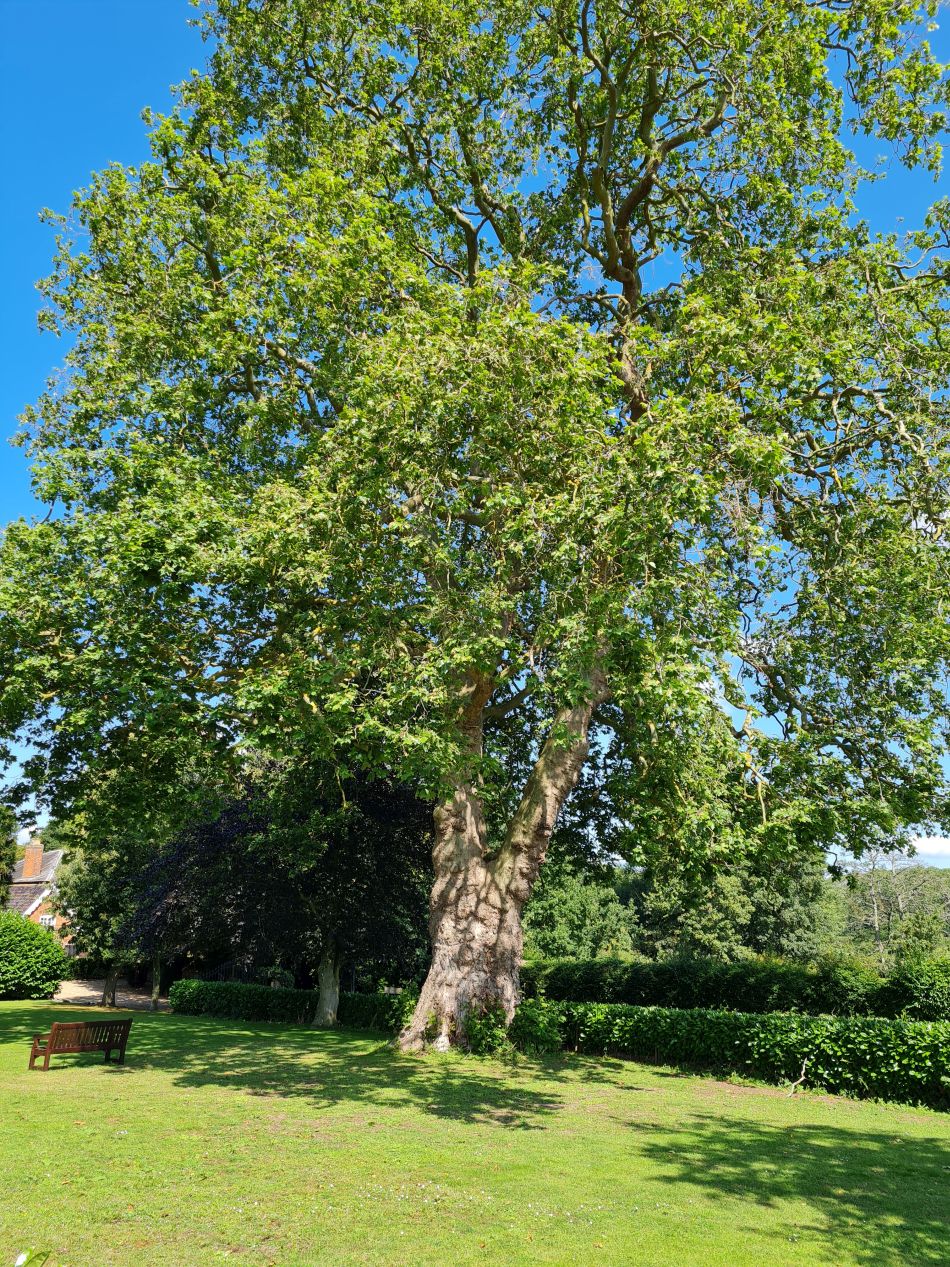 2023-07-26 03 Weybread.jpg