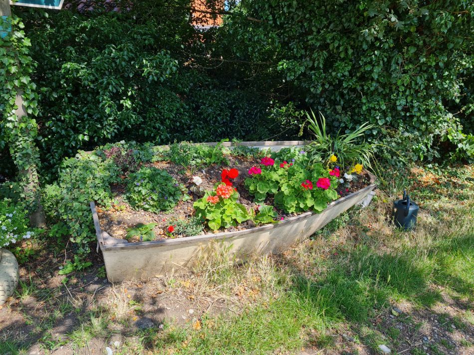 2023-07-26 12 Weybread.jpg