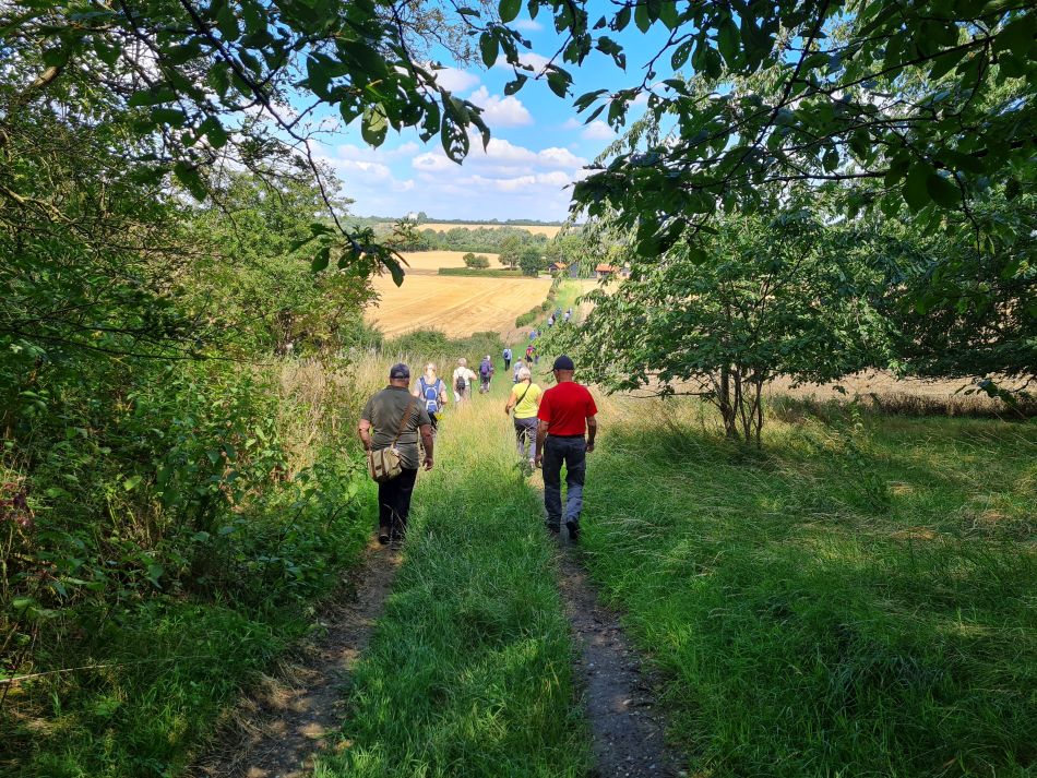 2023-07-26 13 Weybread.jpg