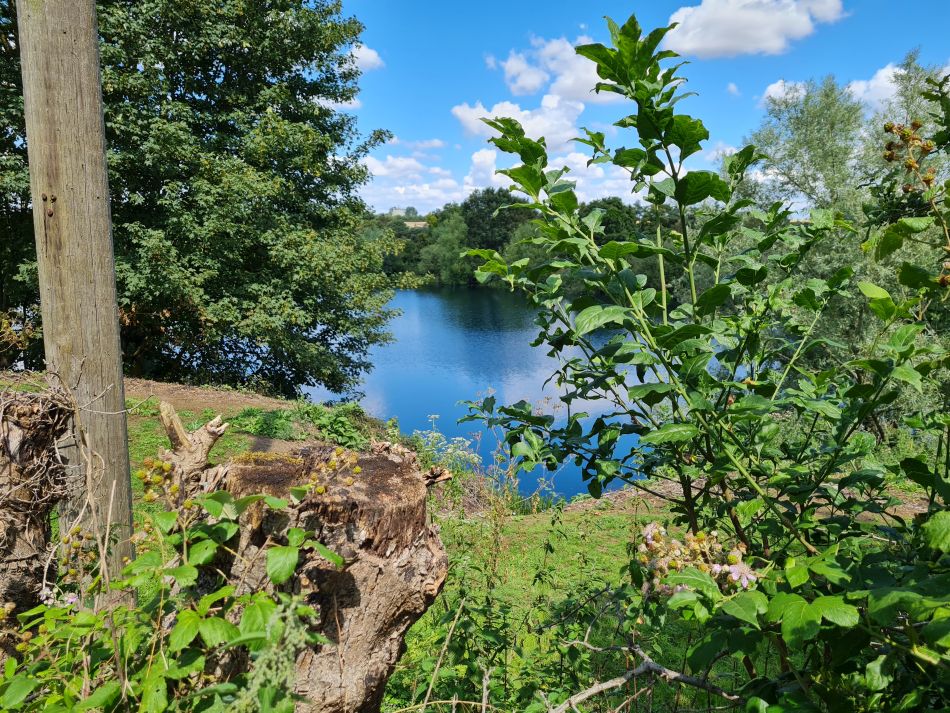 2023-07-26 15 Weybread.jpg