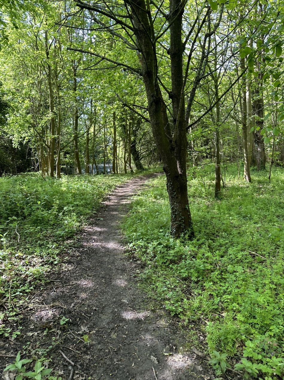 2024-05-05 01 Fressingfield.jpg