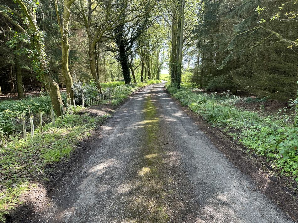 2024-05-05 02 Fressingfield.jpg