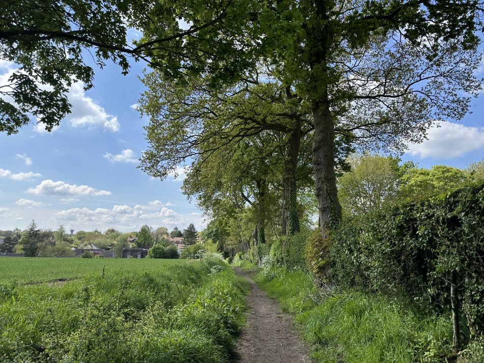 2024-05-05 04 Fressingfield.jpg