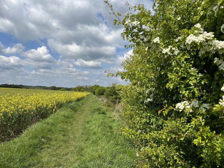 2024-05-05 08 Fressingfield.jpg