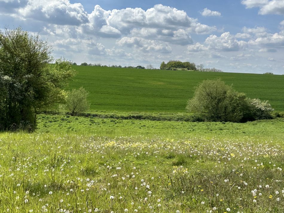 2024-05-05 09 Fressingfield.jpg