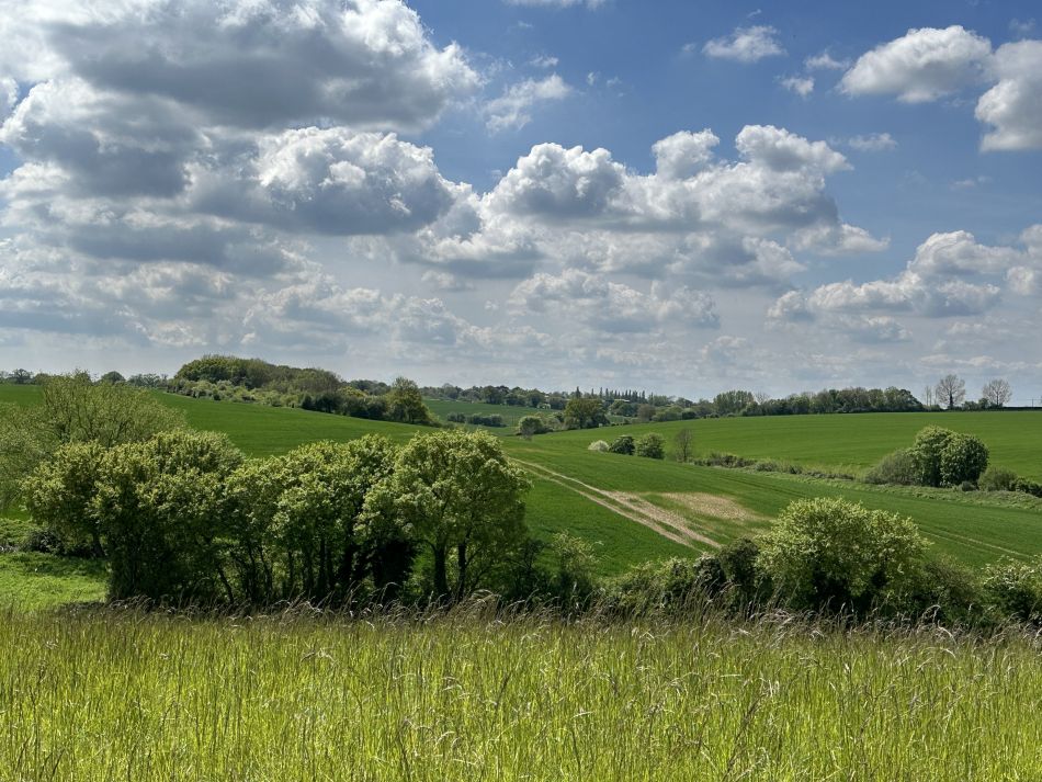 2024-05-05 10 Fressingfield.jpg