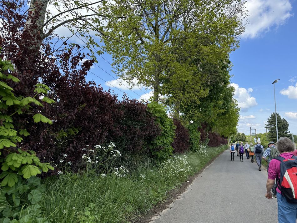 2024-05-05 13 Fressingfield.jpg