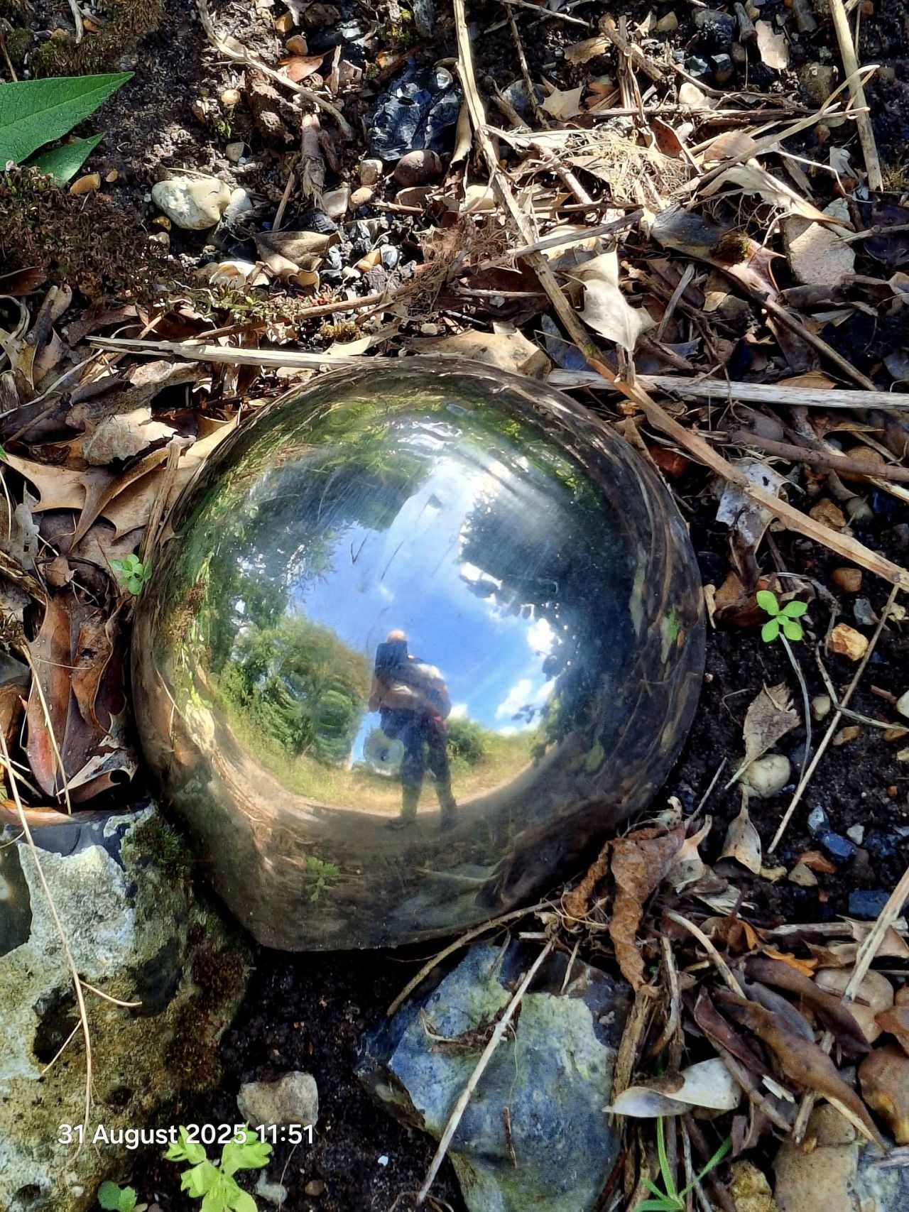 2025-08-31 15 Metfield.jpg