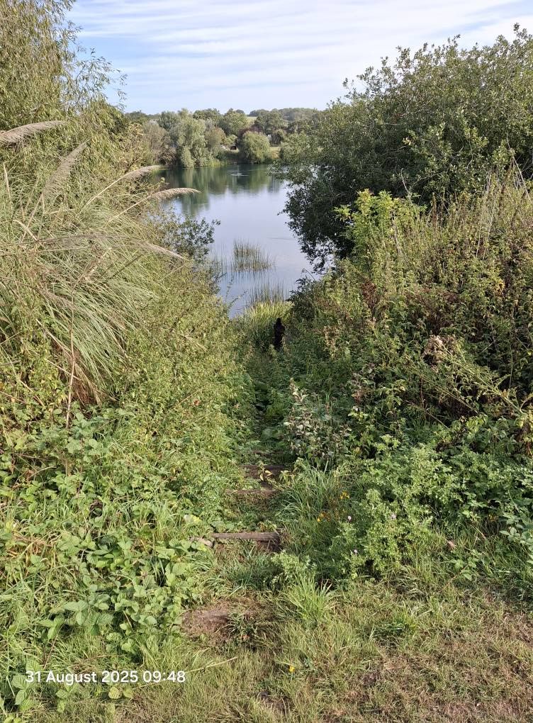 2025-08-31 17 Metfield.jpg