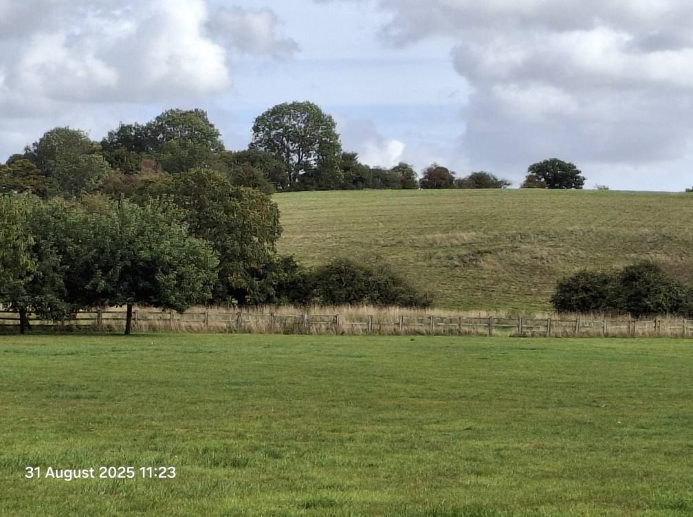 2025-08-31 19 Metfield.jpg