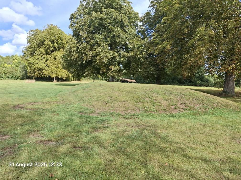 2025-08-31 31 Metfield.jpg