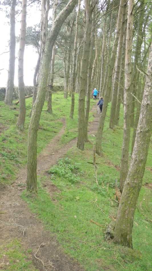 2019-04-29 04 Hartington and Pilsbury Castle.JPG