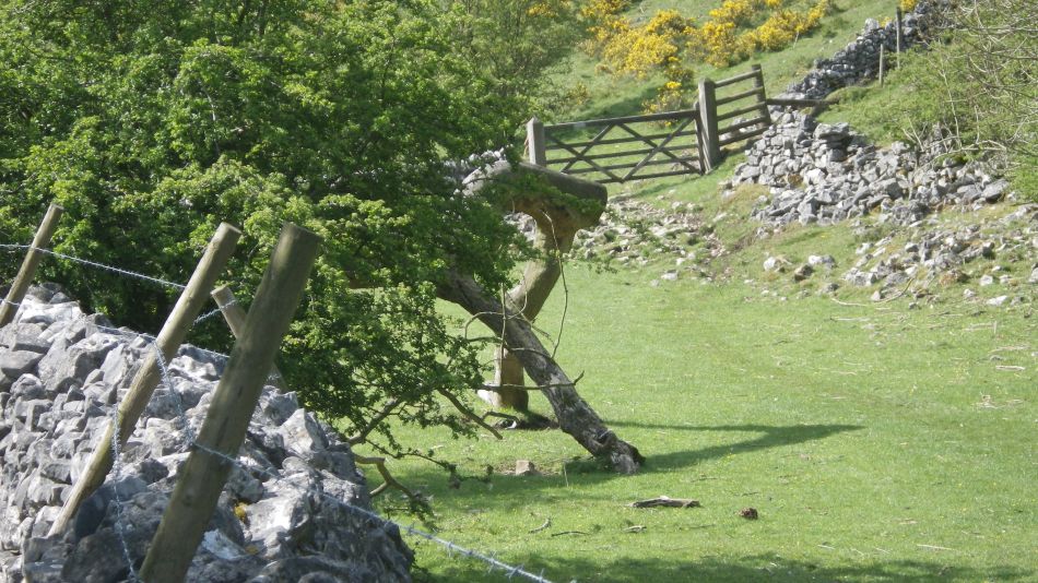 2019-04-29 12 Hartington Biggin Wolfscote Beresford Dales.JPG