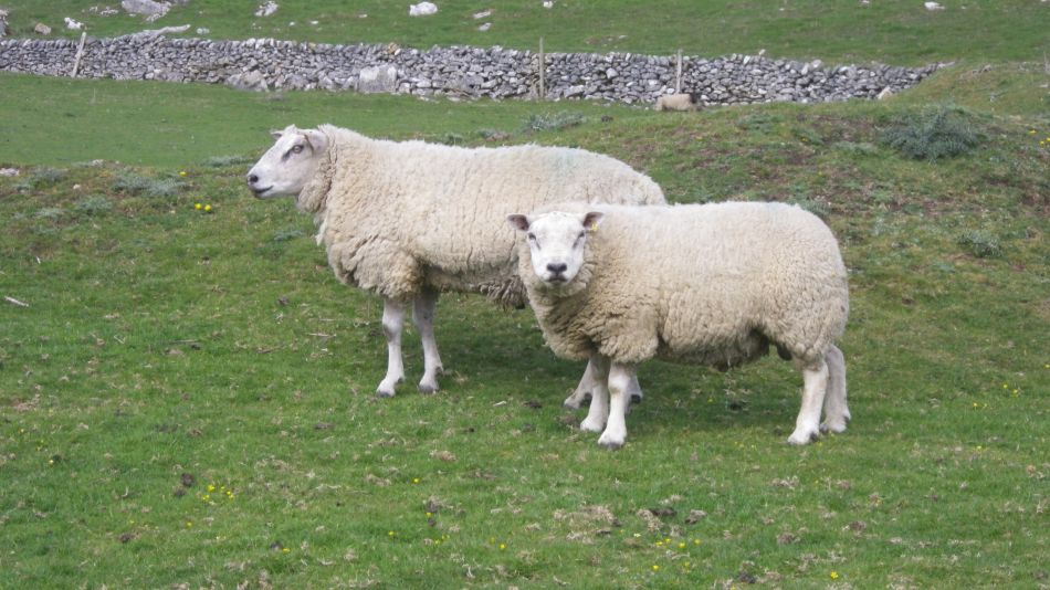 2019-04-29 20 Hartington and Pilsbury Castle.JPG