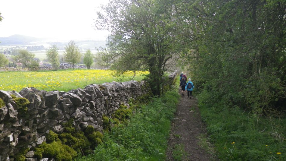 2019-04-29 22 Hartington and Pilsbury Castle.JPG