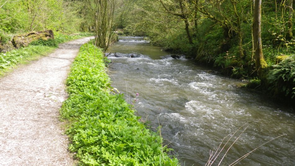 2019-04-29 35 Hartington Biggin Wolfscote Beresford Dales.JPG