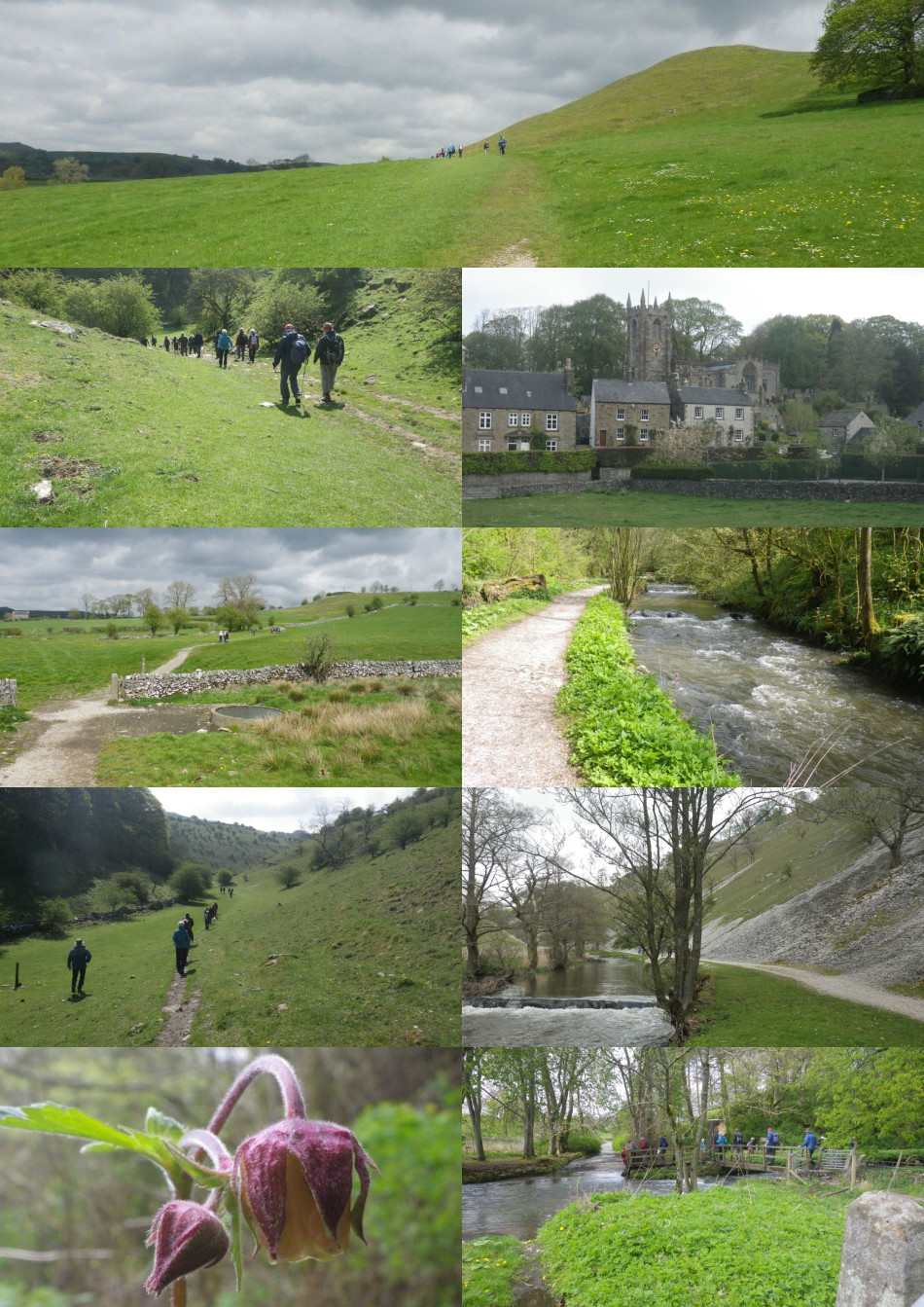 2019-04-29 98 Image.jpg