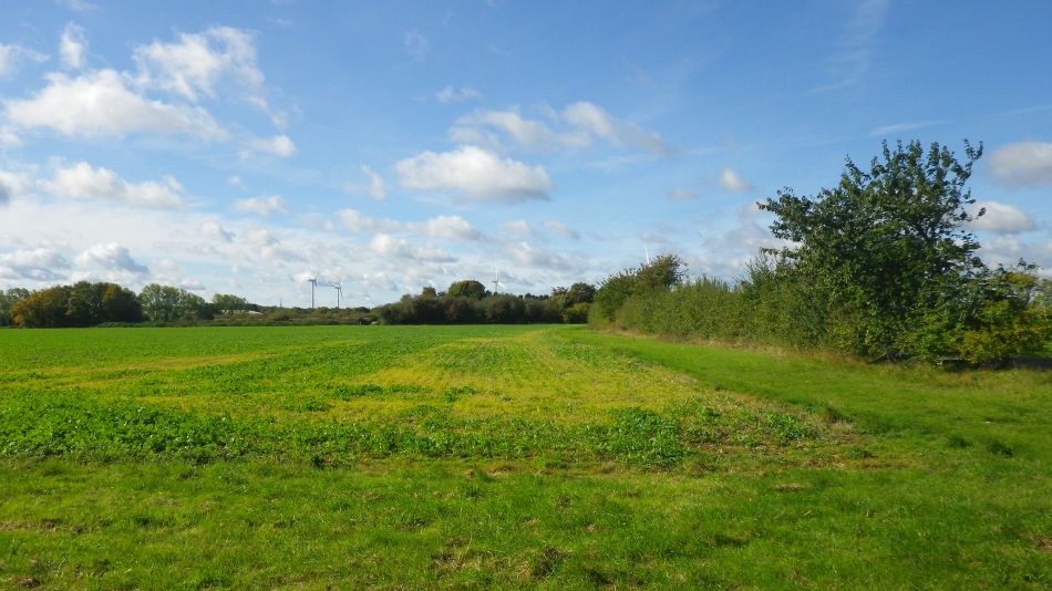 2017-10-05 03 Wensum Group at Brome Street and Eye.jpg