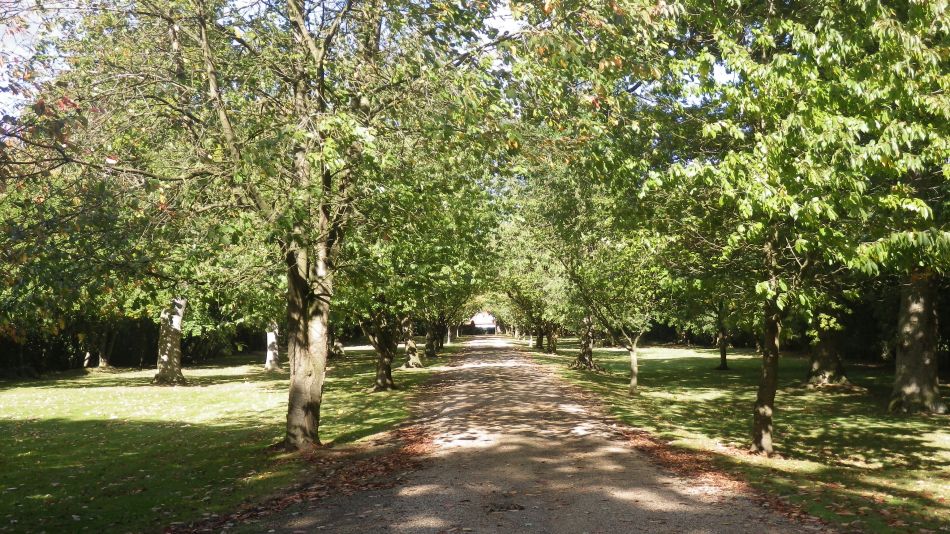 2017-10-05 23 Wensum Group at Brome Street and Eye.jpg